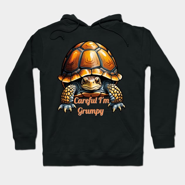 Careful I'm Grumpy Hoodie by Forgotten Times